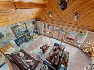 Living Room Overhead